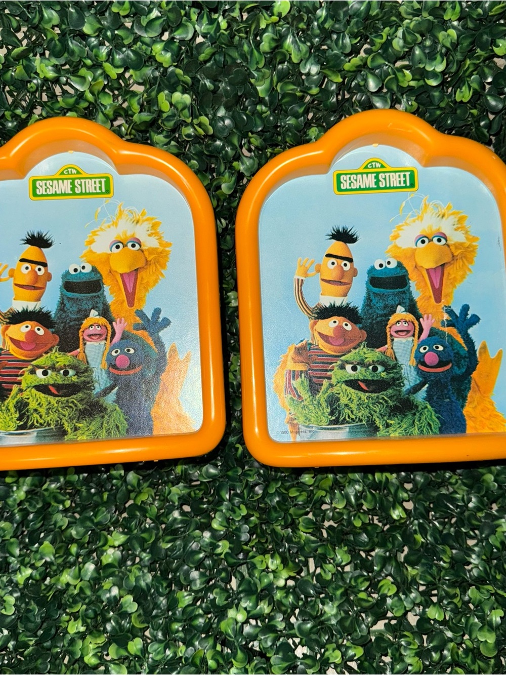 Vintage 1980 Sesame Street x Book ends